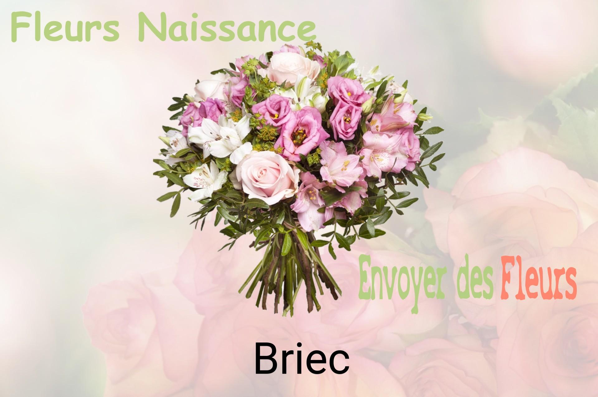 Bouquet de fleurs de naissance livré à Briec