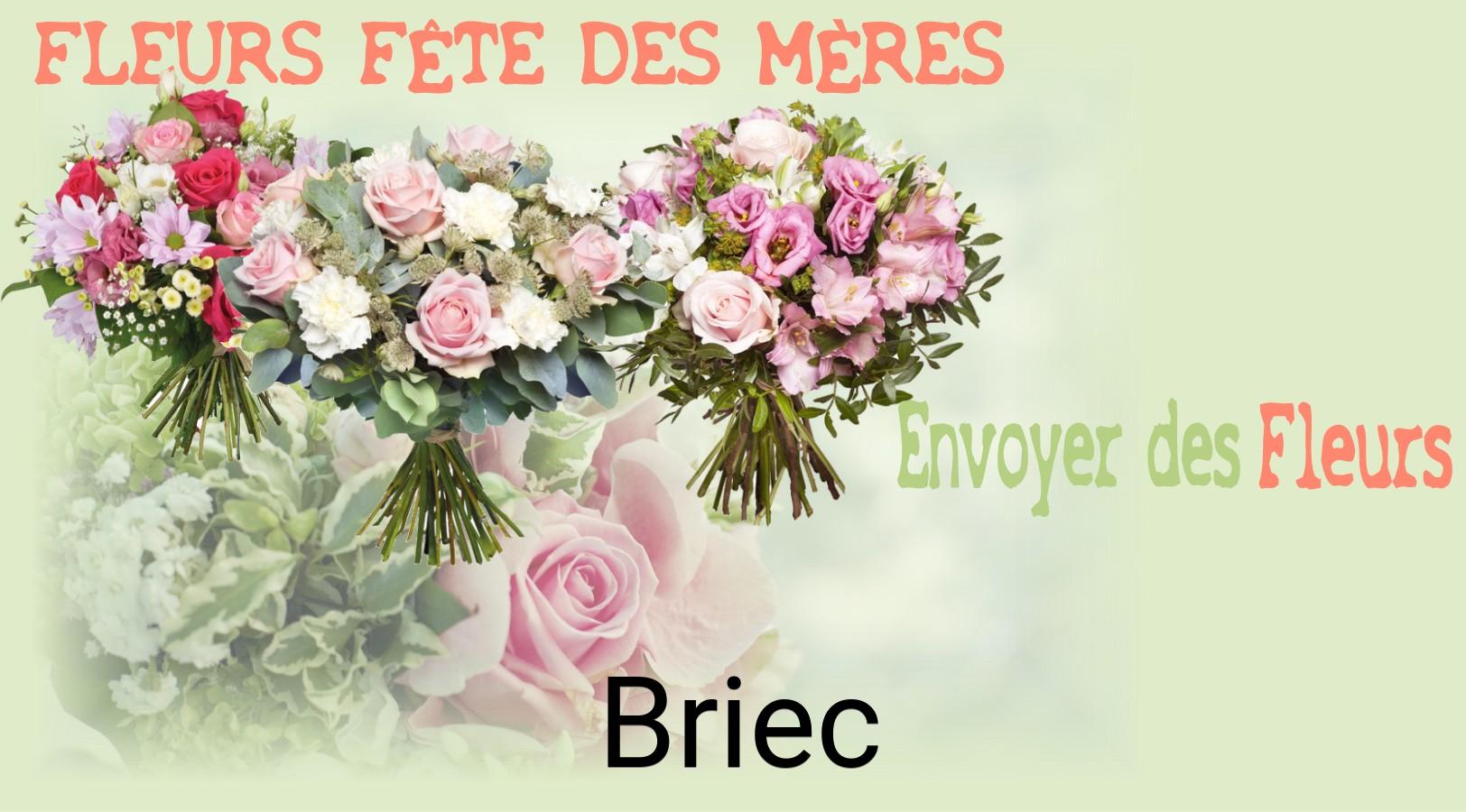 Bouquet de Fête des Mères livré à Briec